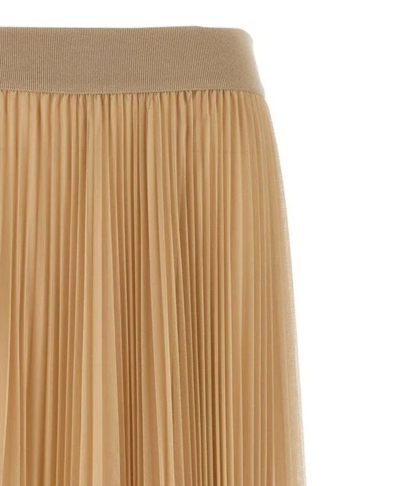 Fabiana Filippi Pleated Tulle Skirt