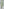         JW Anderson Green Satin Asymmetric Mini Dress