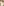         Loewe Beige Straight Leg Linen Trousers