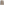         Joseph Beige Cashmere Blend Jacket