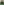         Men's Green Monogrammed Padded Wool-felt Bomber Jacket