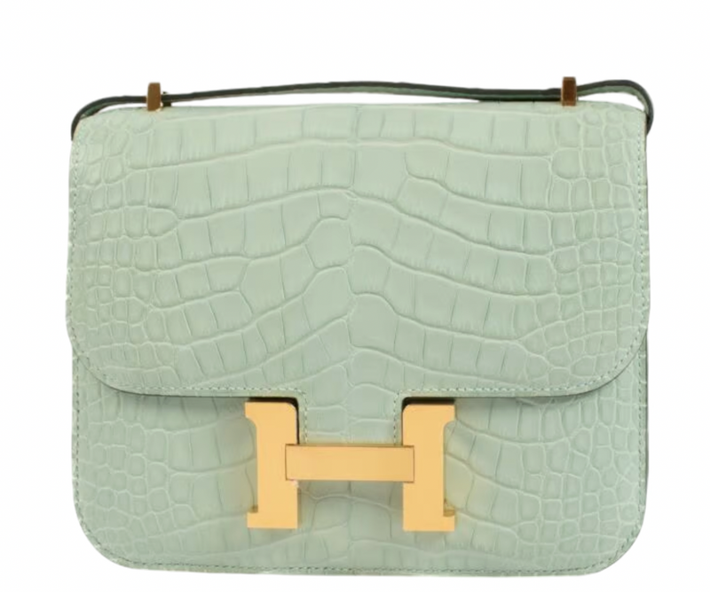 Matte Vert d'Eau Mississipiensis Alligator 18cm Mini Constance with Gold Hardware