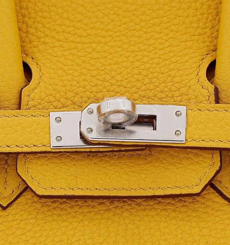 Hermès Birkin 25 Togo Jaune Ambre