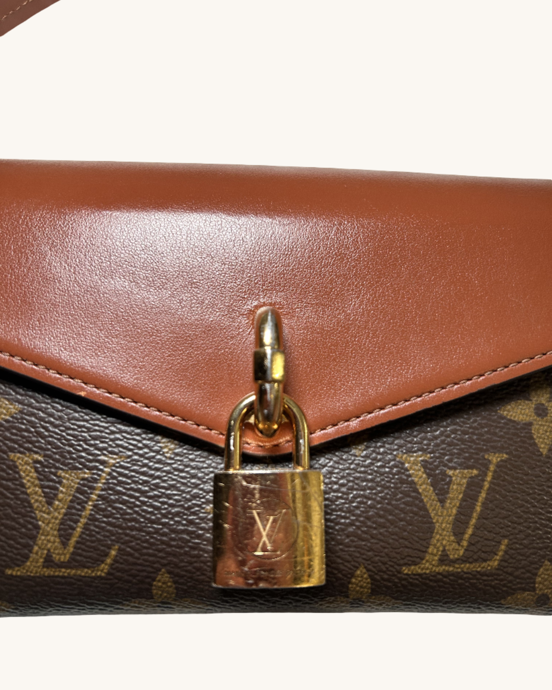 Louis Vuitton Coated Canvas And Leather Bag