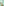         Bottega Veneta Menta Lacquered Matelasse Satin Skirt