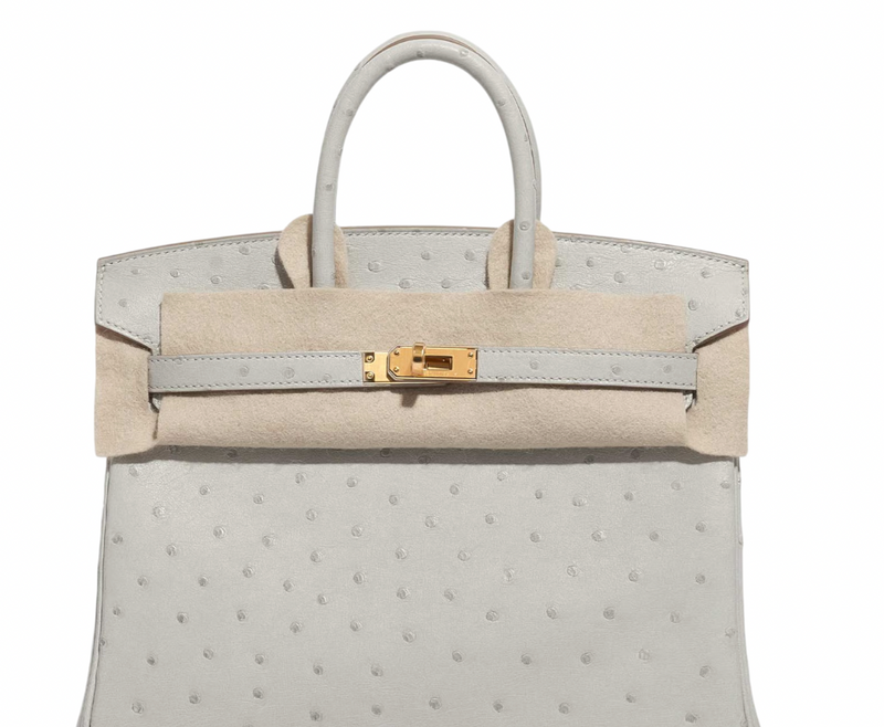 Hermès HSS Autruche Gris Perle Birkin 25 With Gold-tone Hardware