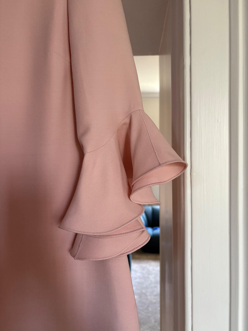 Valentino Pink Ruffle Sleeve Swing Dress