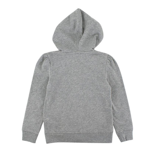Polo Ralph Lauren Grey Cotton Pony Logo Hoodie