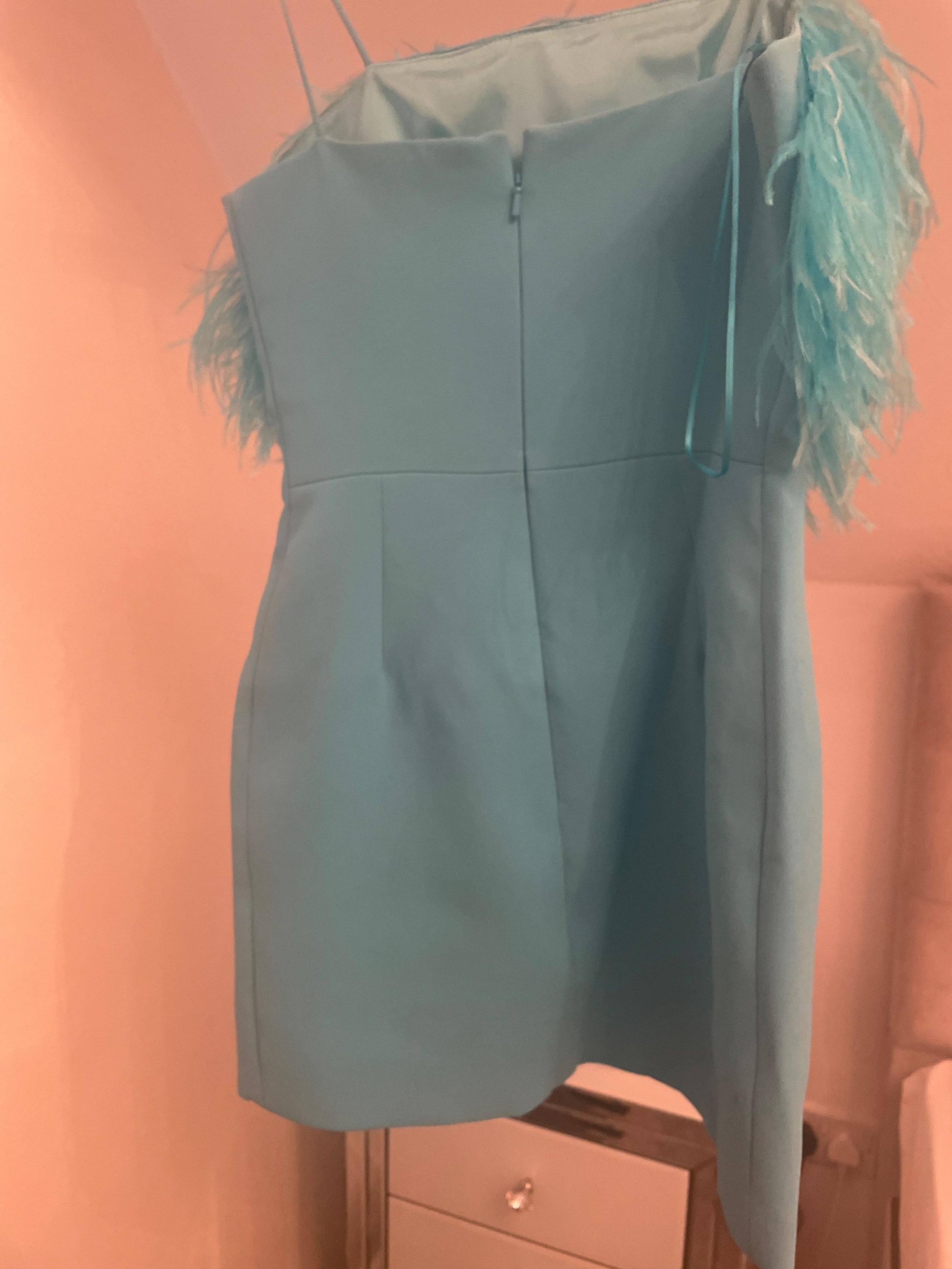 Feather-trimmed cady mini dress