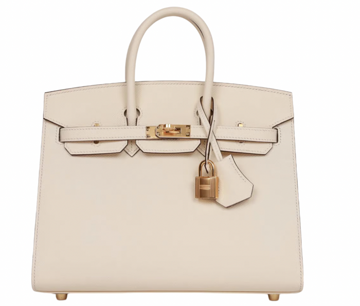 Hermès Epsom Sellier Nata Birkin 25 With Gold Hardware
