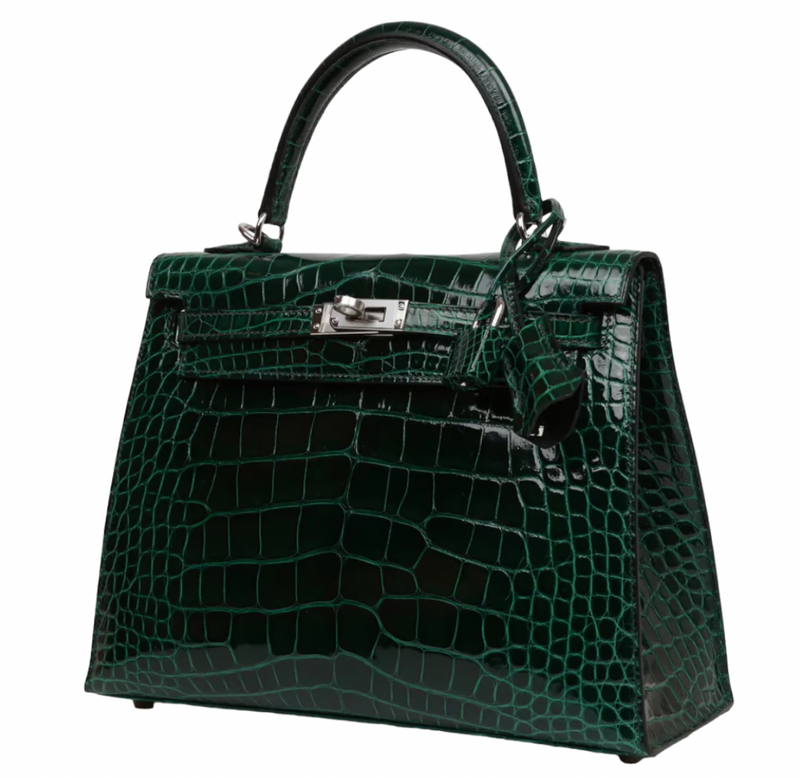 Crocodile Niloticus Lisse Vert Foncé 25cms Kelly with Palladium Hardware