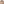         Rokh Beige Gabardine Double-Layered Trench Coat