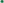         Green High Waist Silk Shorts