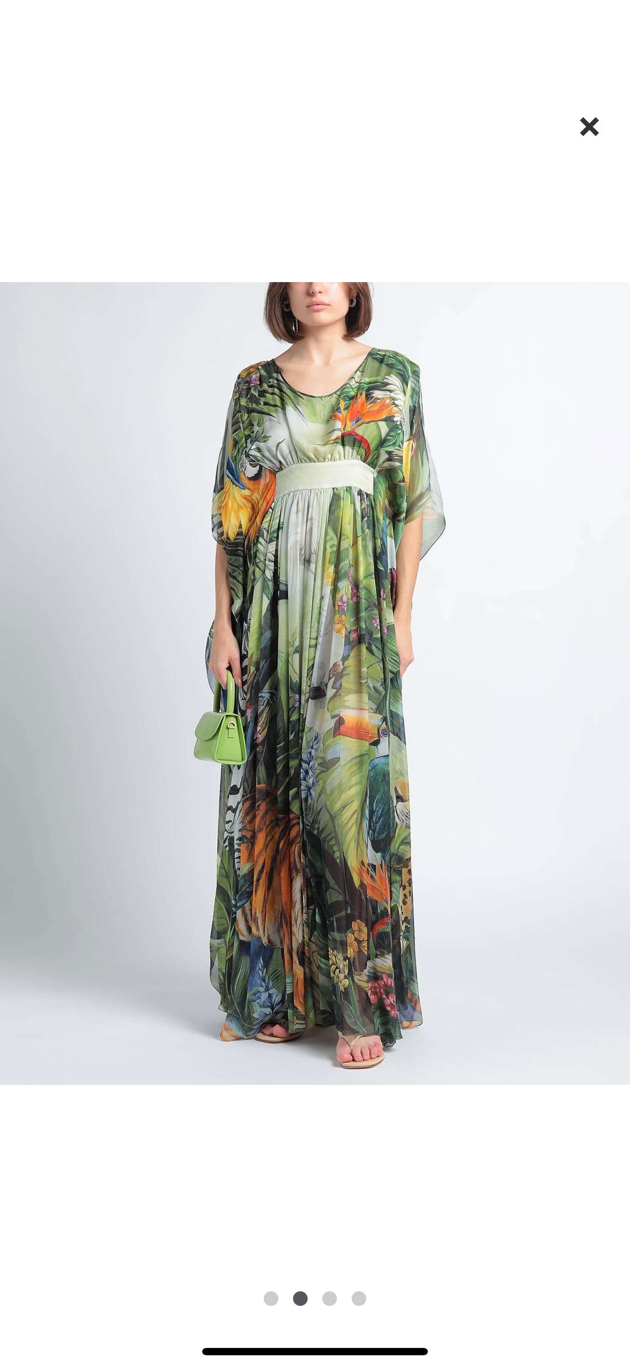Printed Silk Chiffon Maxi Dress