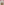         Beige sequinned pointelle knit cami dress