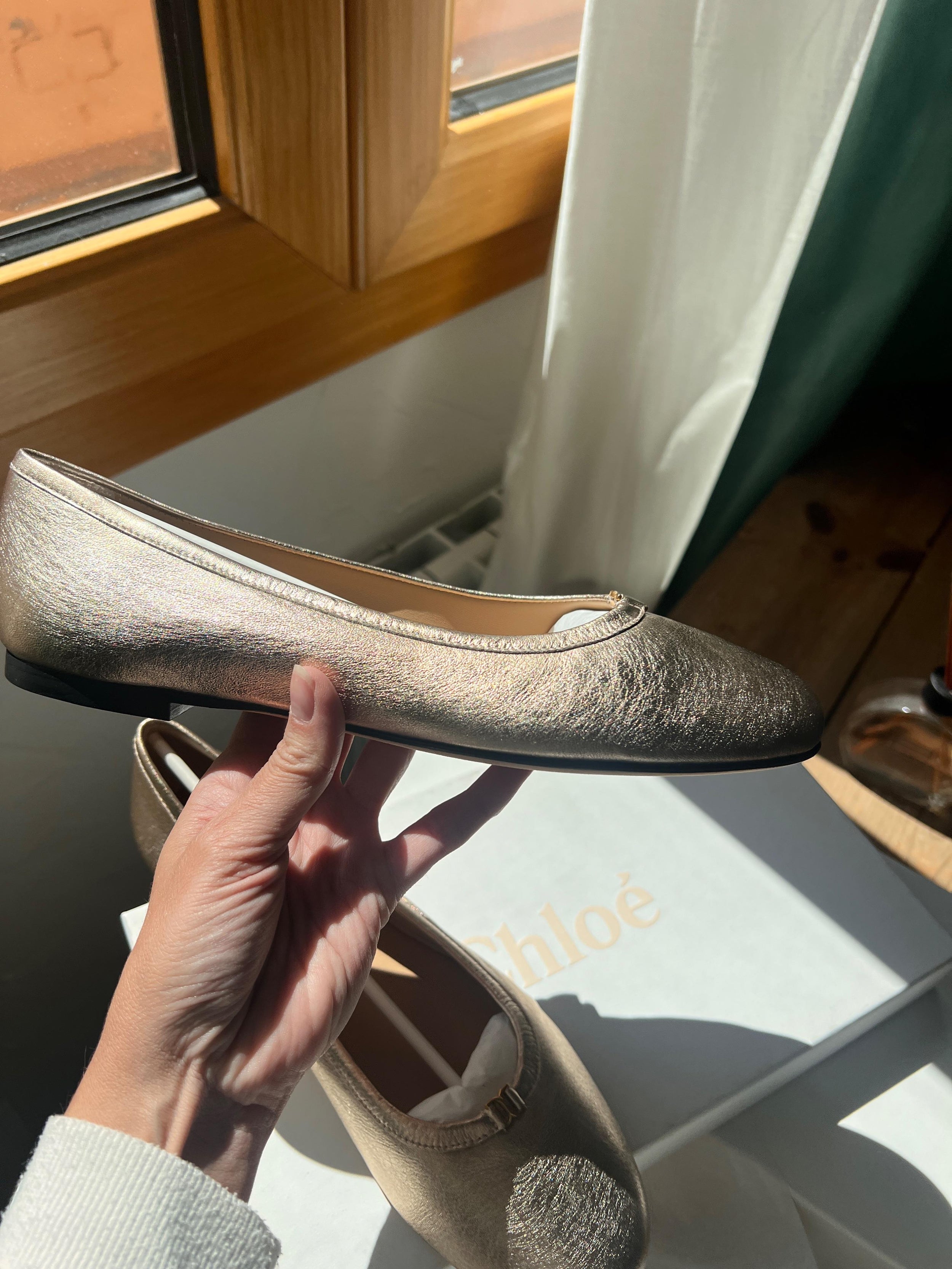 Chloe Metallic Leather Ballet Flats