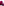         Burberry Fuchsia Check Scarf
