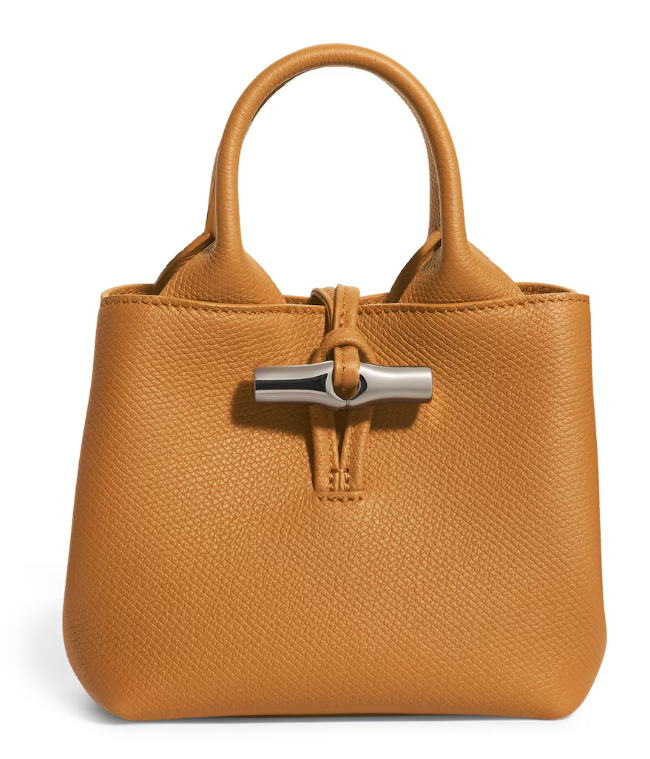 Extra Small Leather Le Roseau Top Handle Bag