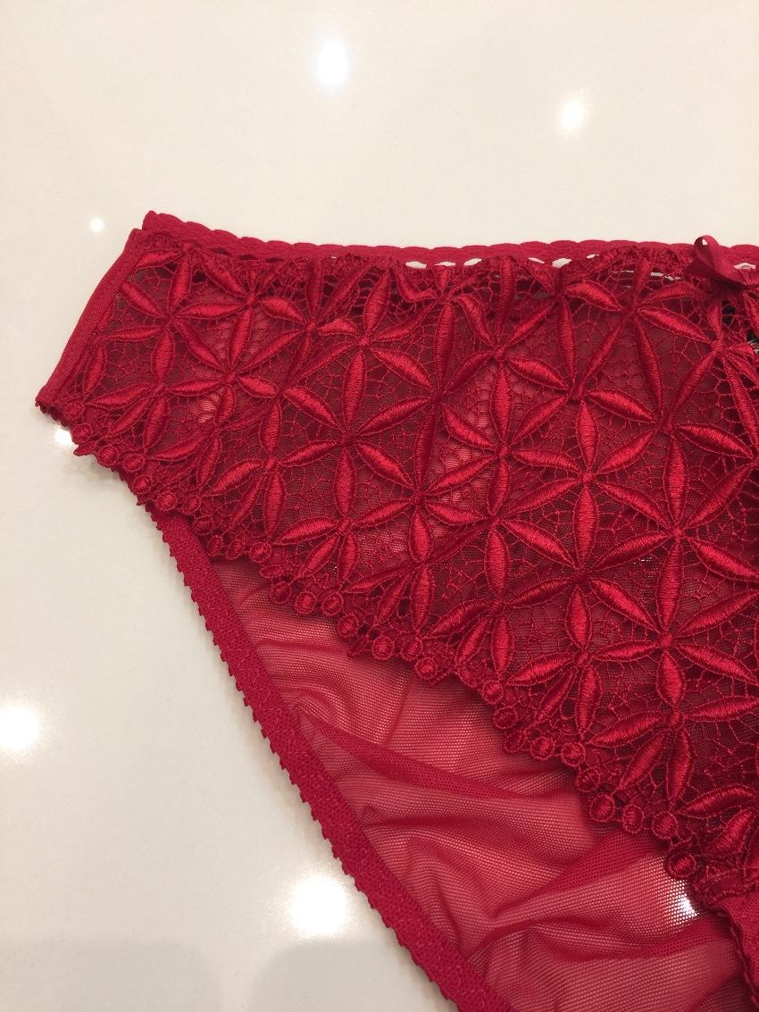 Aubade Paris red guipure lace briefs