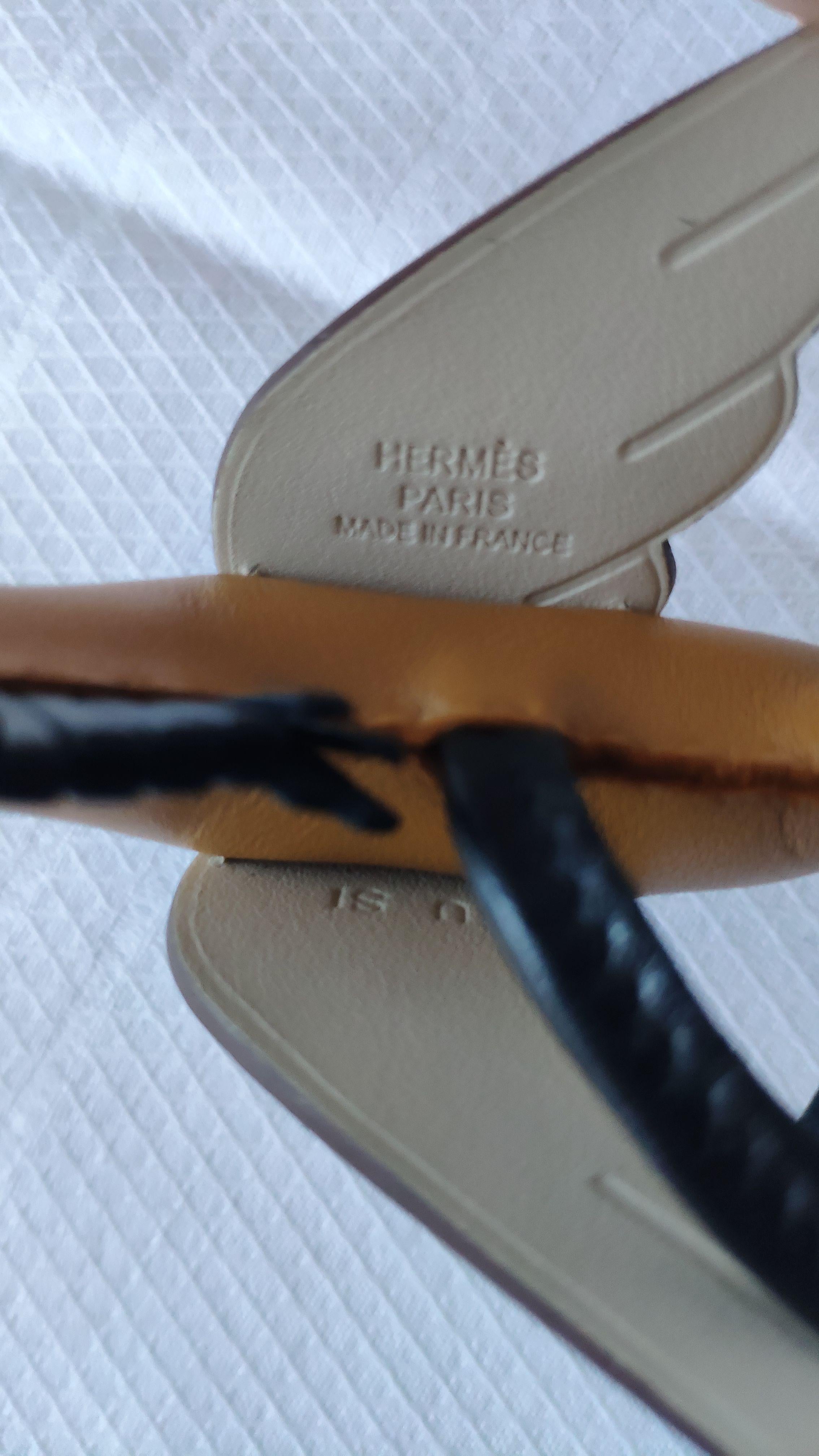 Sesame Rodeo Pegase PM