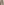         Beige Double Breasted Short Trench Coat