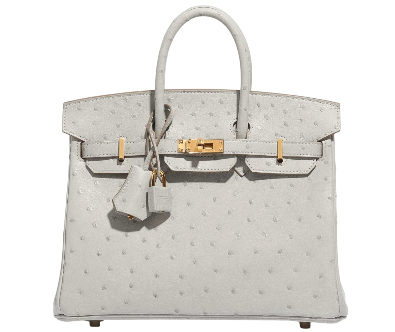 Hermès HSS Autruche Gris Perle Birkin 25 With Gold-tone Hardware