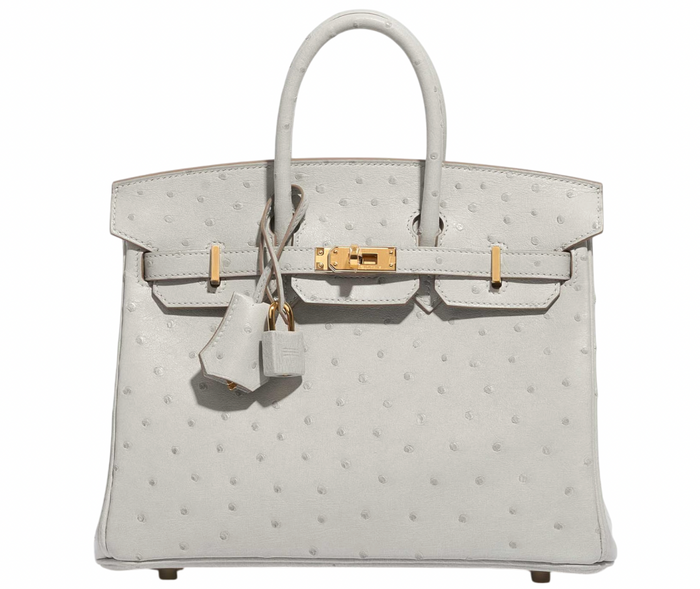Hermès HSS Autruche Gris Perle Birkin 25 With Gold-tone Hardware