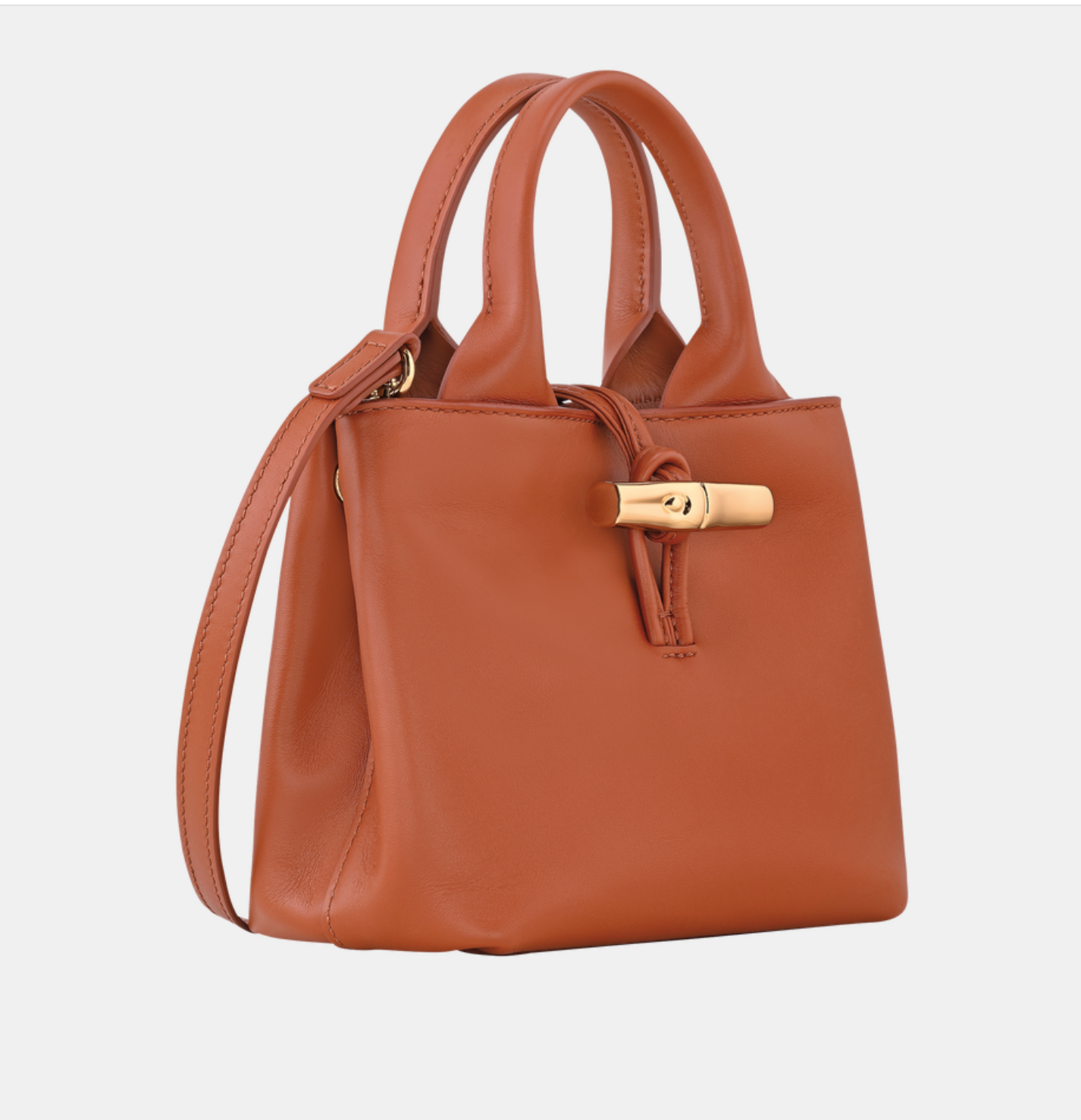 Longchamp Le Roseau XS Handbag