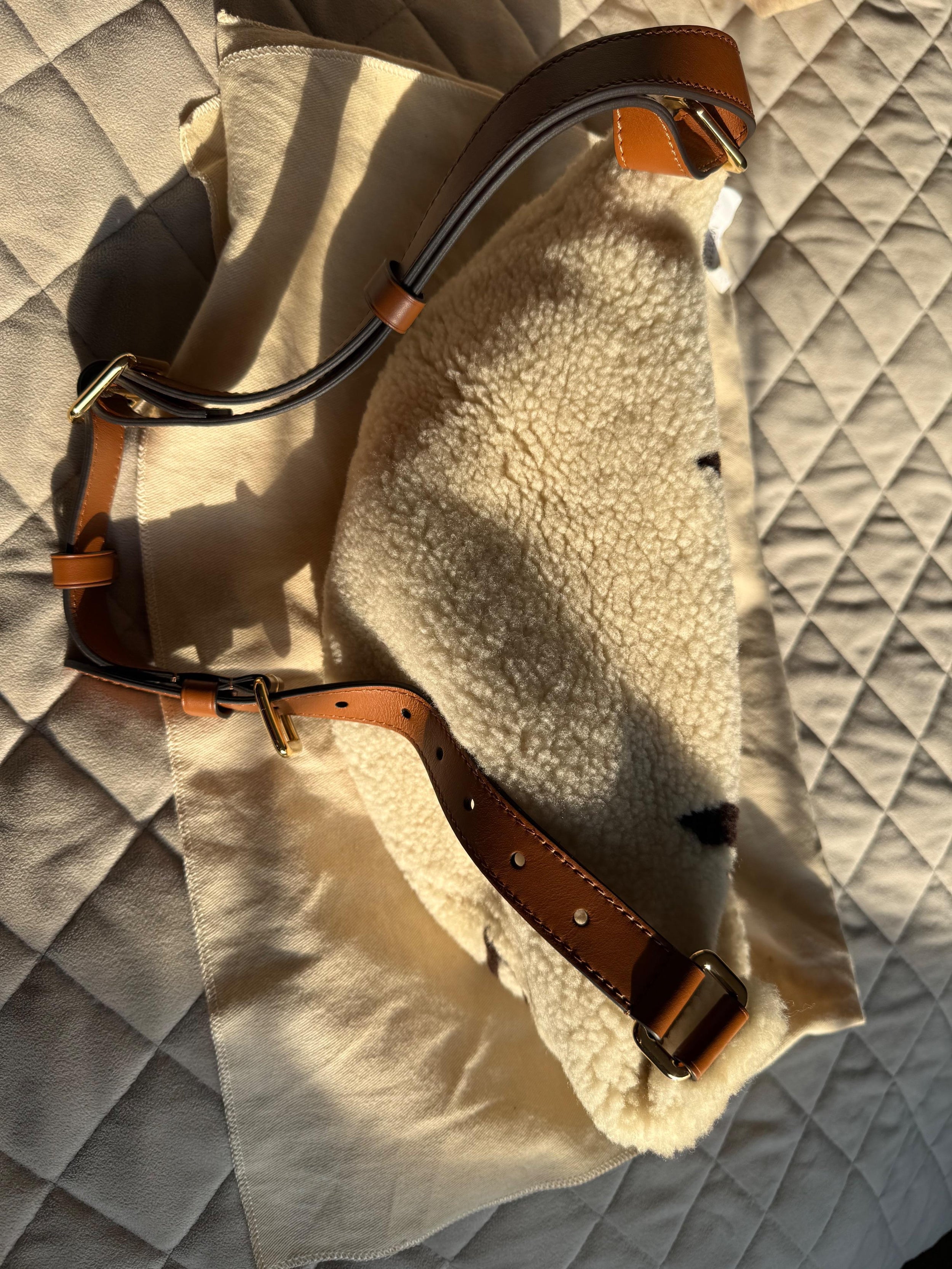 Louis Vuitton Ski Cozygram Collection Bumbag