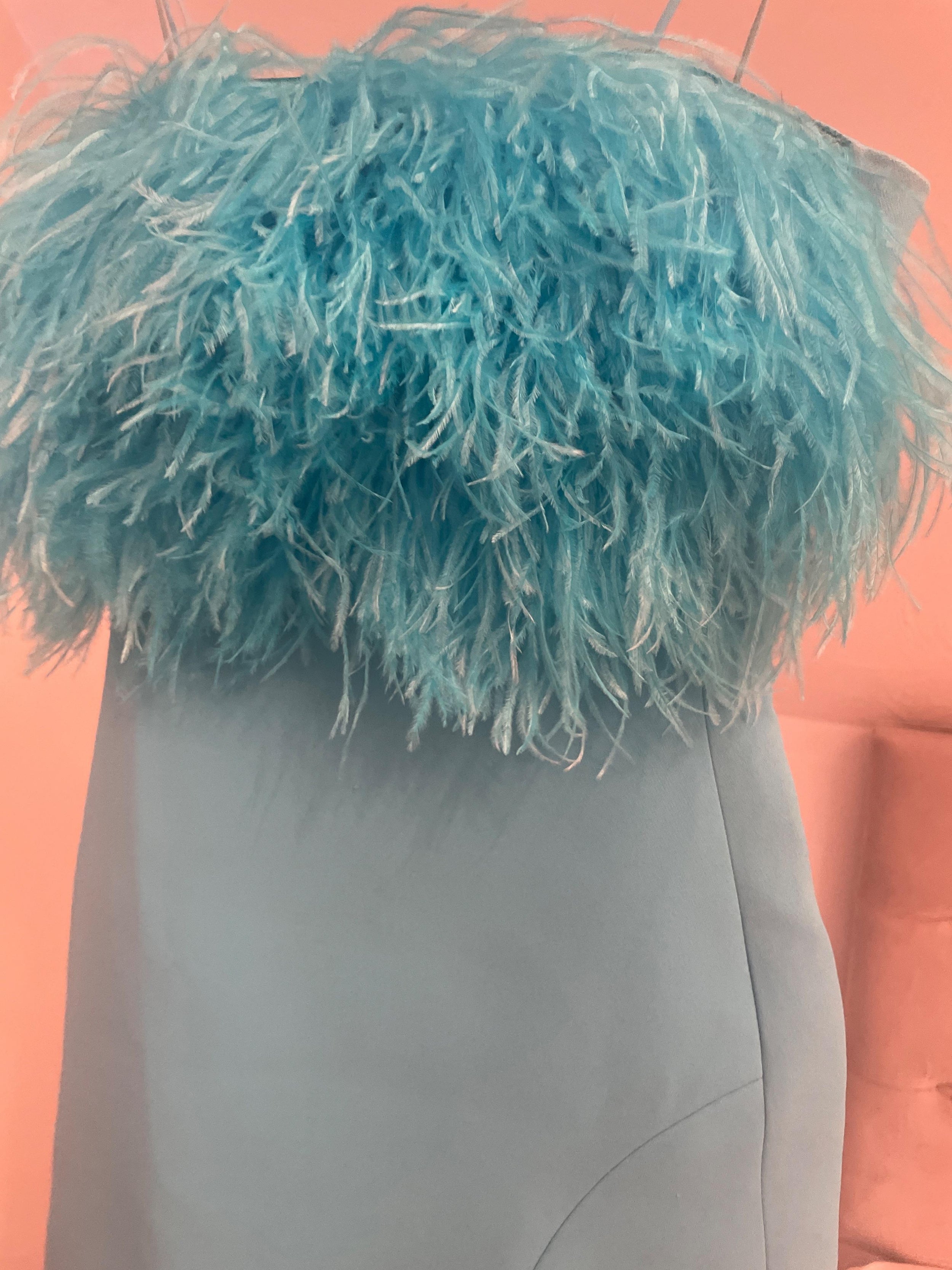 Feather-trimmed cady mini dress