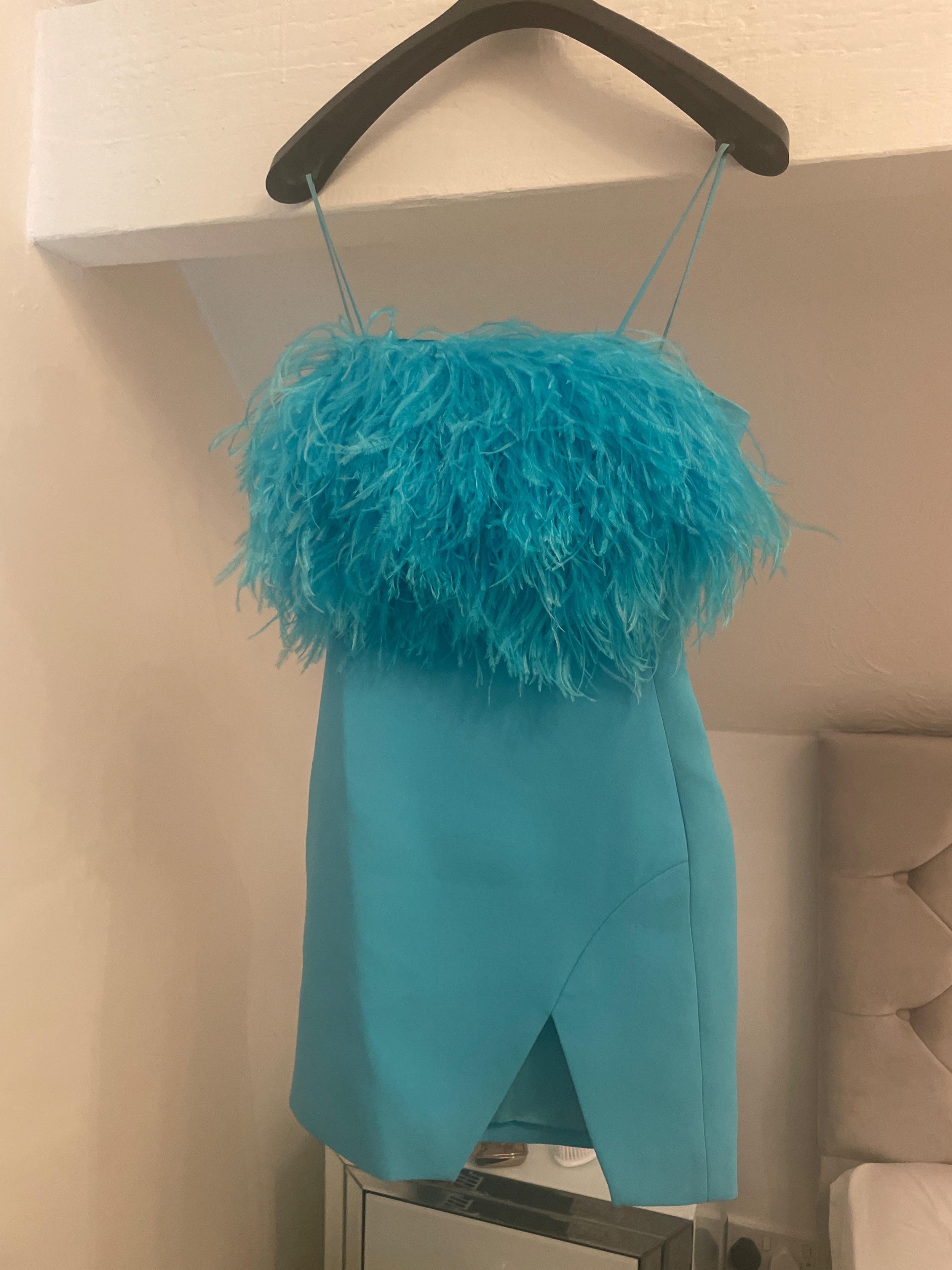 Feather-trimmed cady mini dress