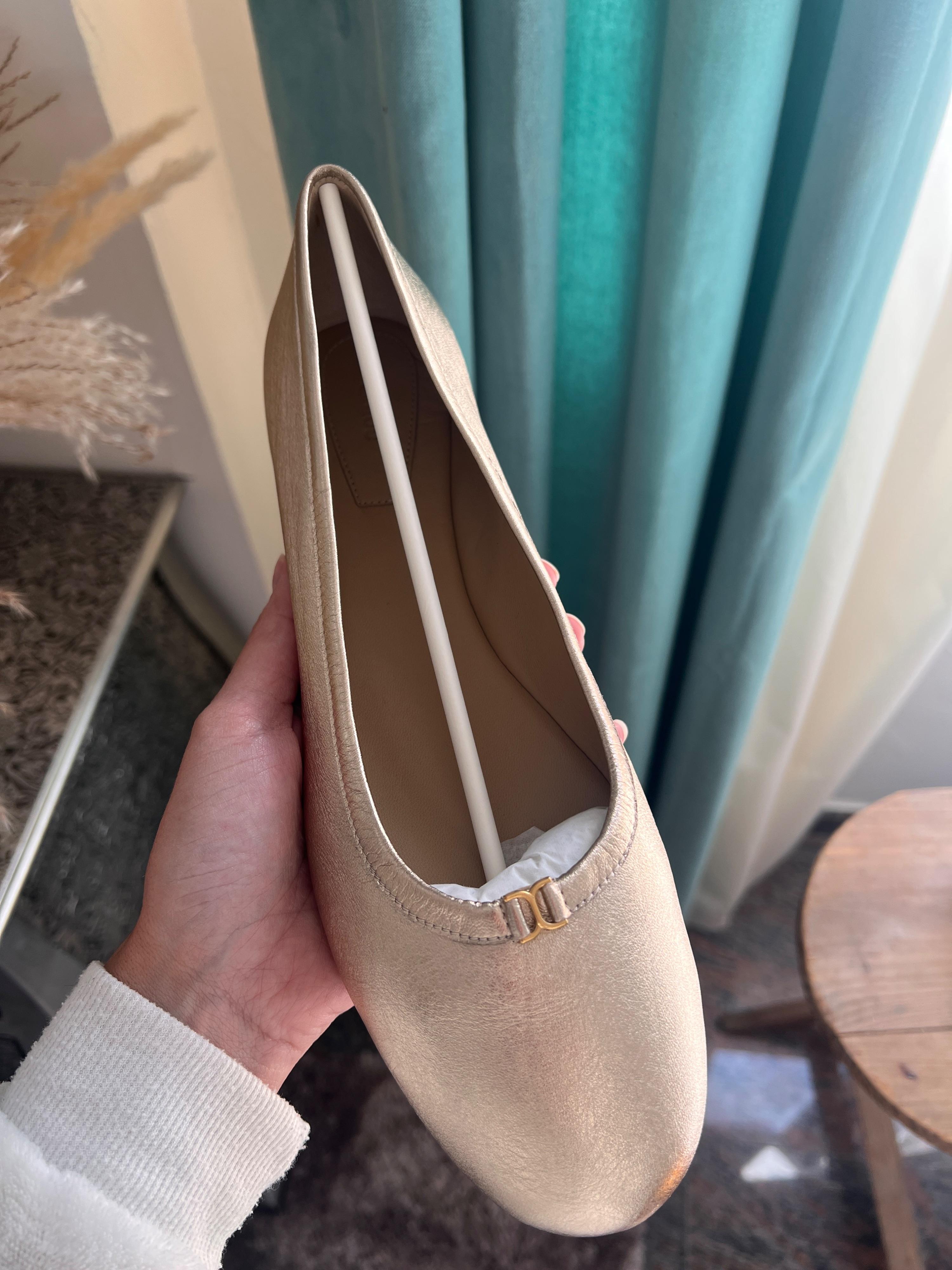 Chloe Metallic Leather Ballet Flats