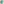         Turquoise Patent Ballerinas