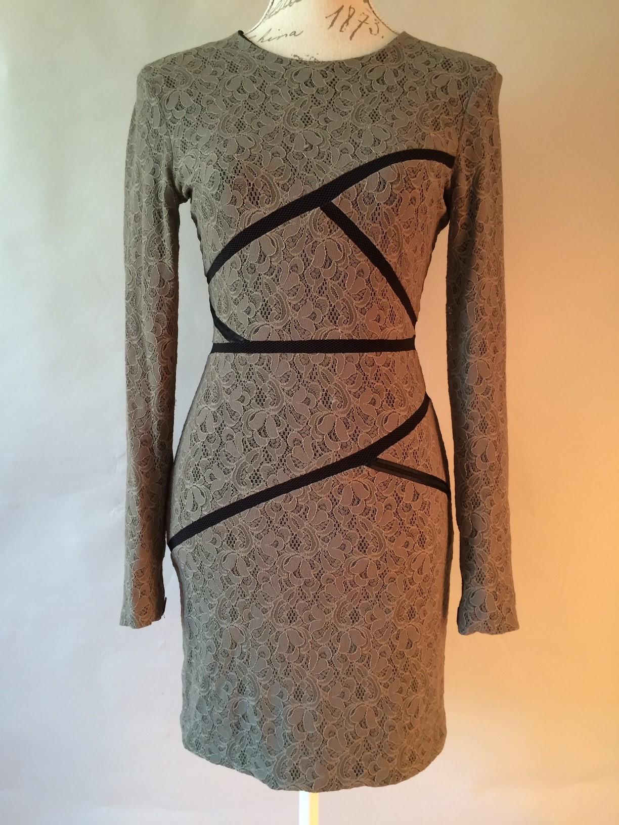 Preen By Thorton Bregazzi  Runway Moss Lace Chelsea Dress