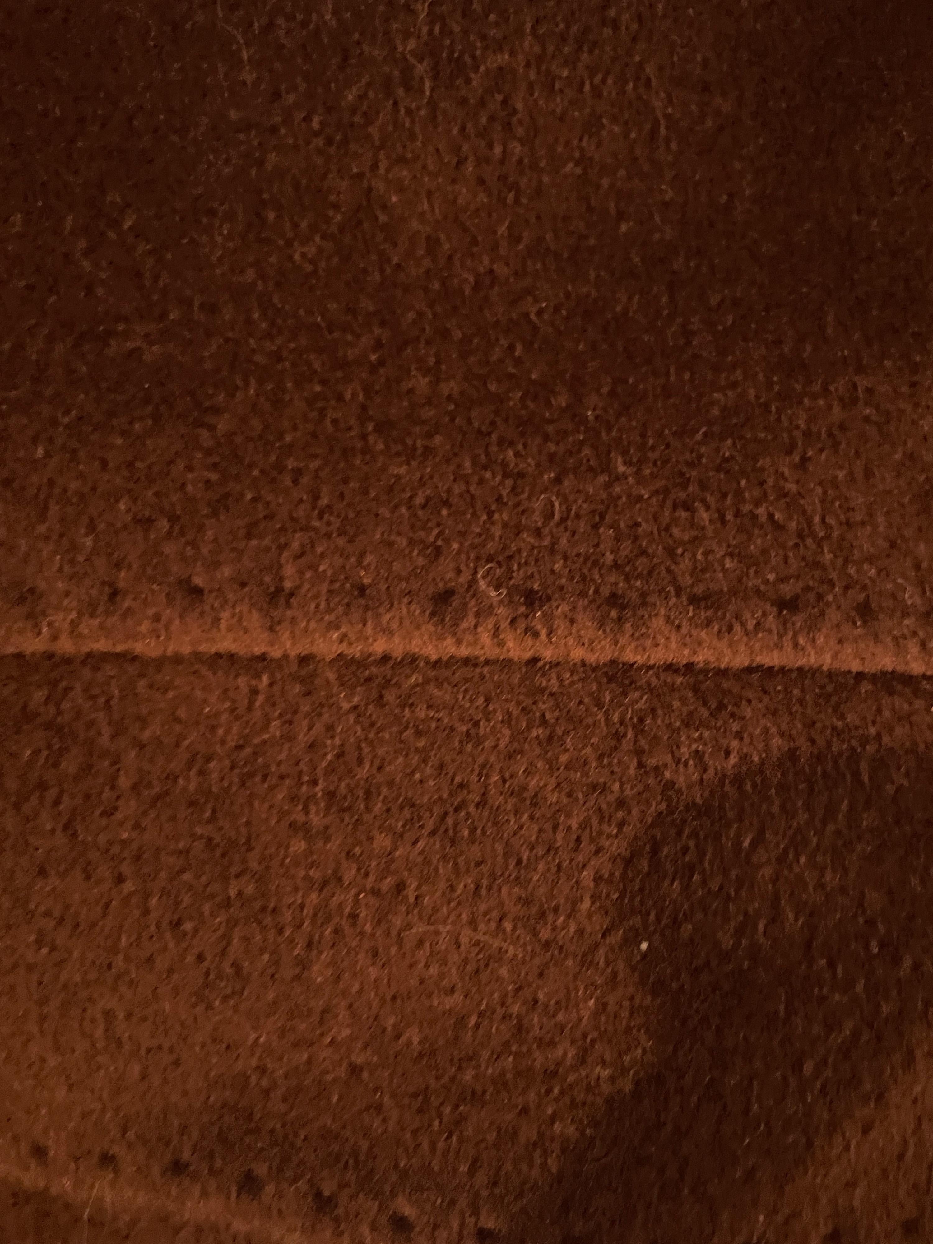 Max Mara Brown Camel Icon Coat