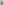         Scherrer Paris Purple Top