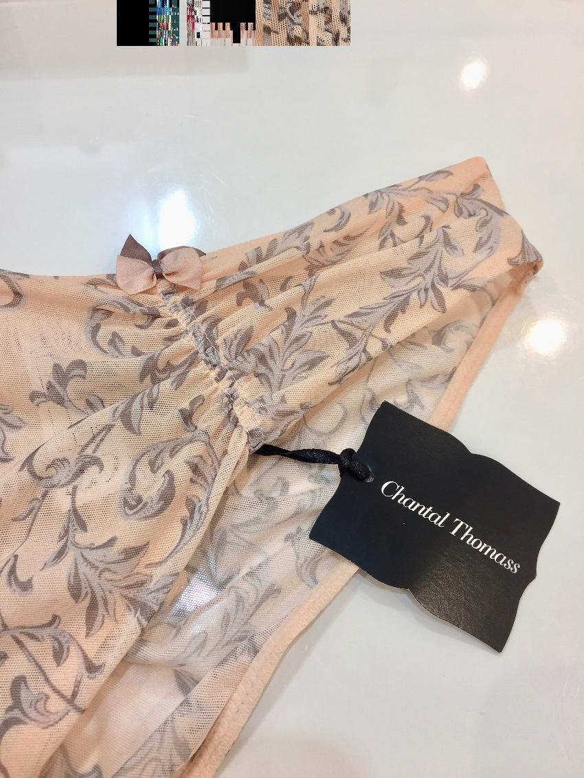Chantal Thomass Soft Peach Tulle Filigree Briefs