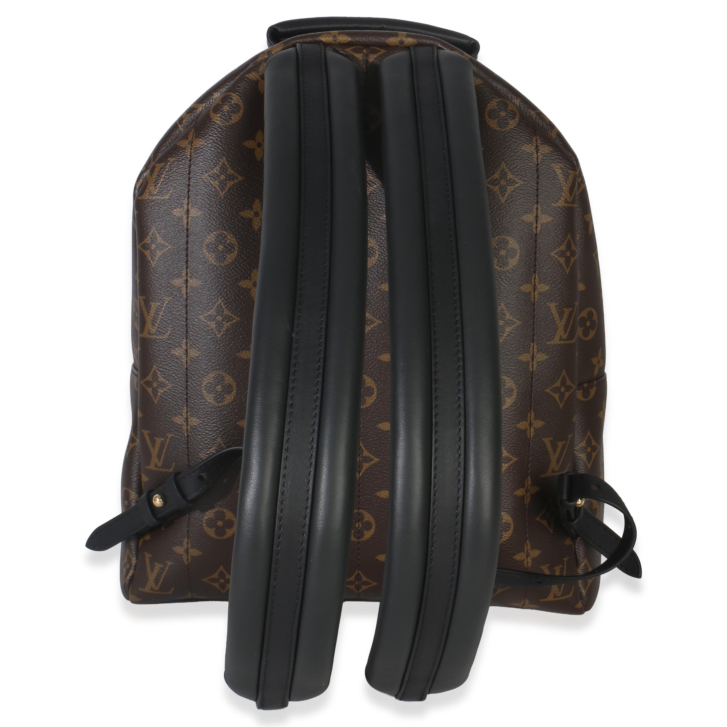 Louis Vuitton Coated Canvas Palm Springs MM