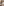         Adidas x Yeezy Boost 350 V2 Natural Sneakers