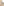         Dolce & Gabbana Golden Beige Cotton-blend Top