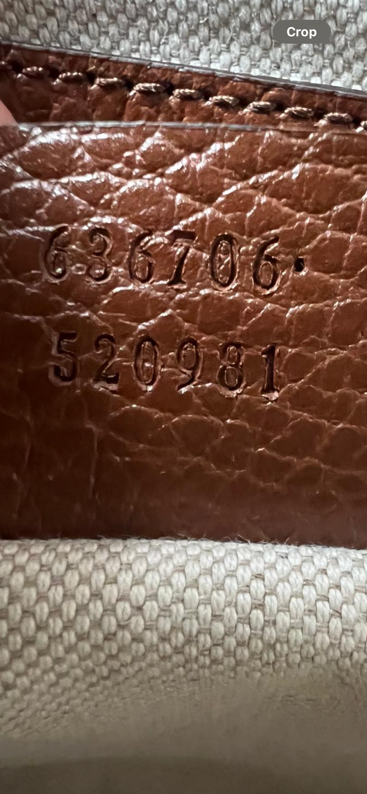 Gucci Medium Denim Jackie O Bag