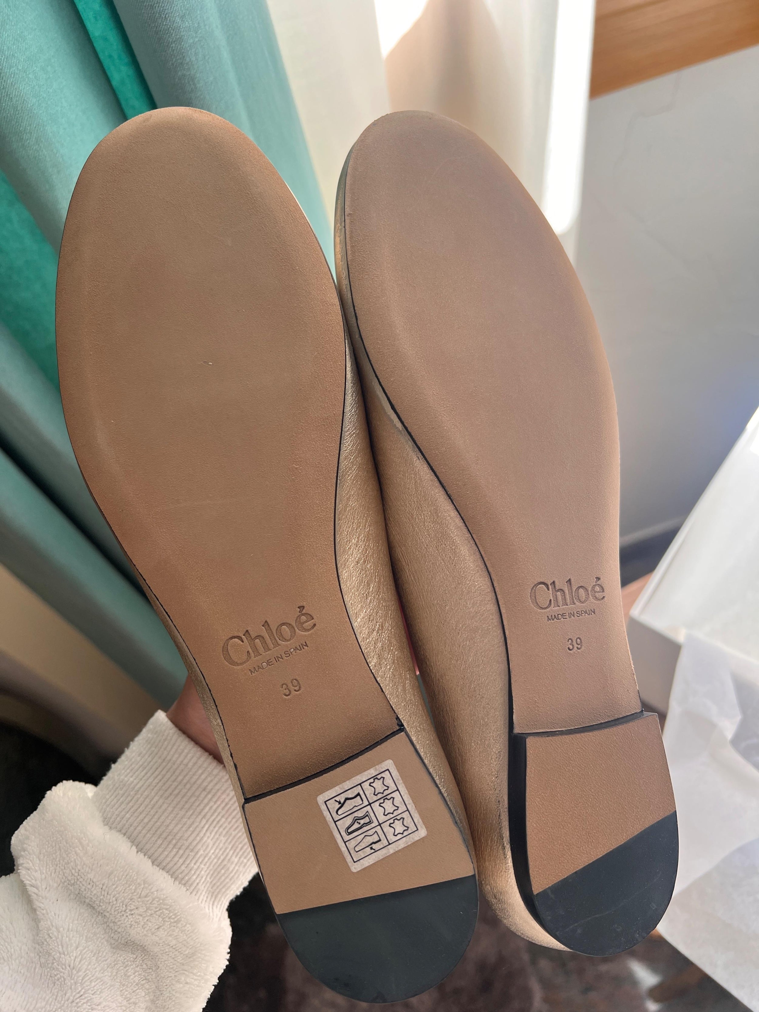 Chloe Metallic Leather Ballet Flats