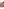         Tan Brown Cashmere Round Neck Jumper
