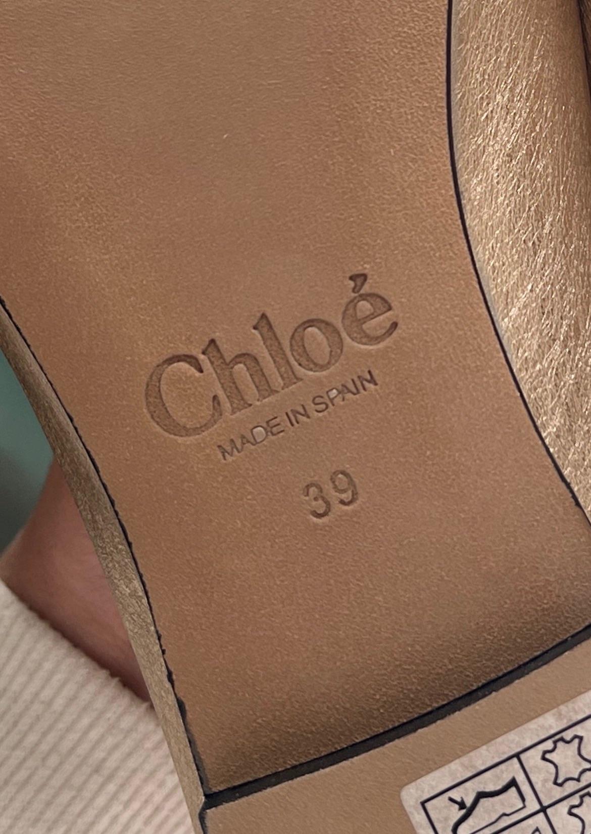 Chloe Metallic Leather Ballet Flats