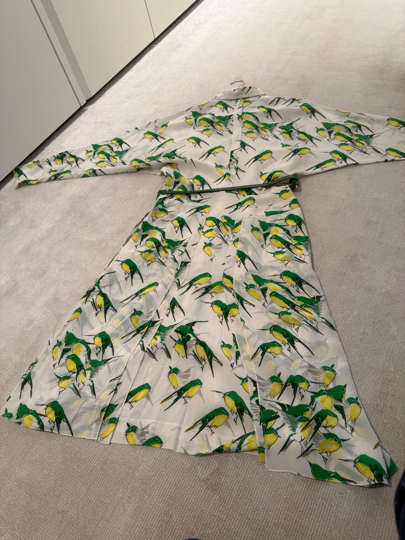Long Sleeved Belted bird Print Dress