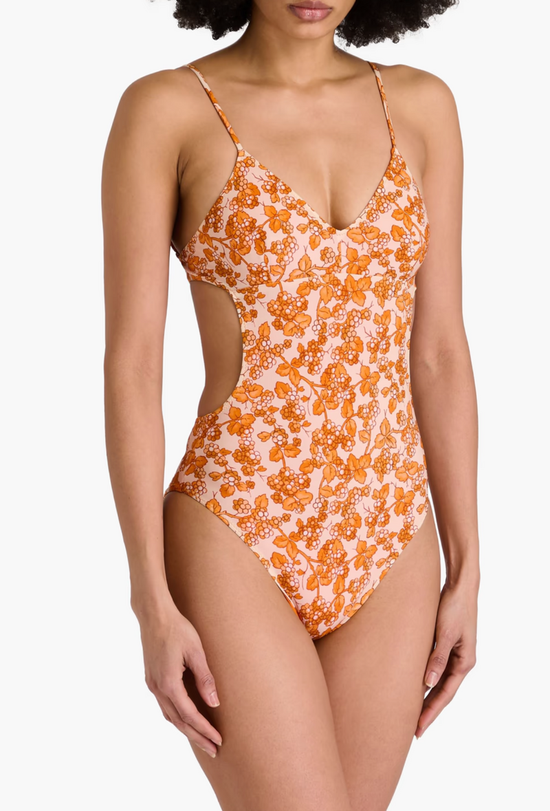 Etro Cutout Floral-print Swimsuit