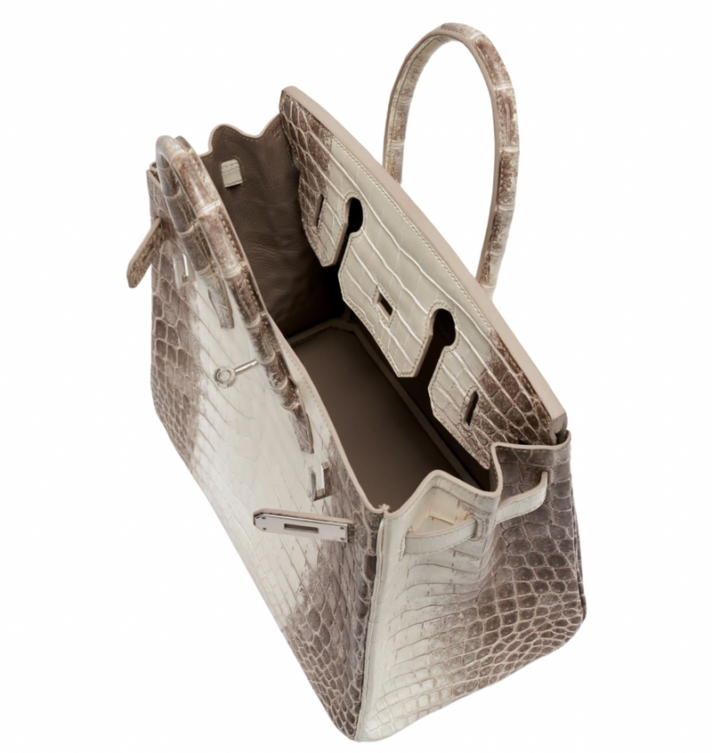 30 cm Crocodile Niloticus Matte Himalaya Birkin Palladium Hardware