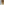         Wheel Canvas Corda Khaki Low Top Sneakers