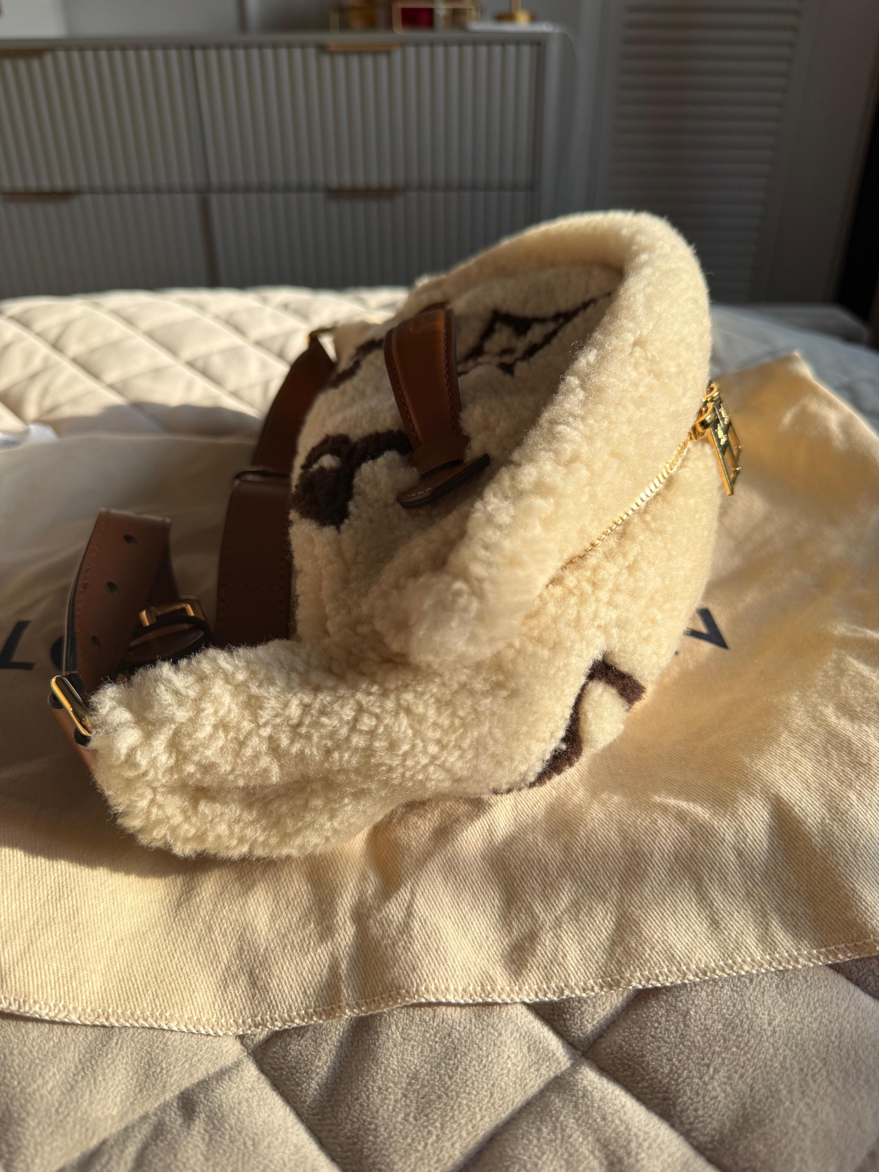 Louis Vuitton Ski Cozygram Collection Bumbag