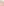         Chanel  Pink and Nude Sheer Net Double Top